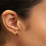 Zenith Hoops - Small