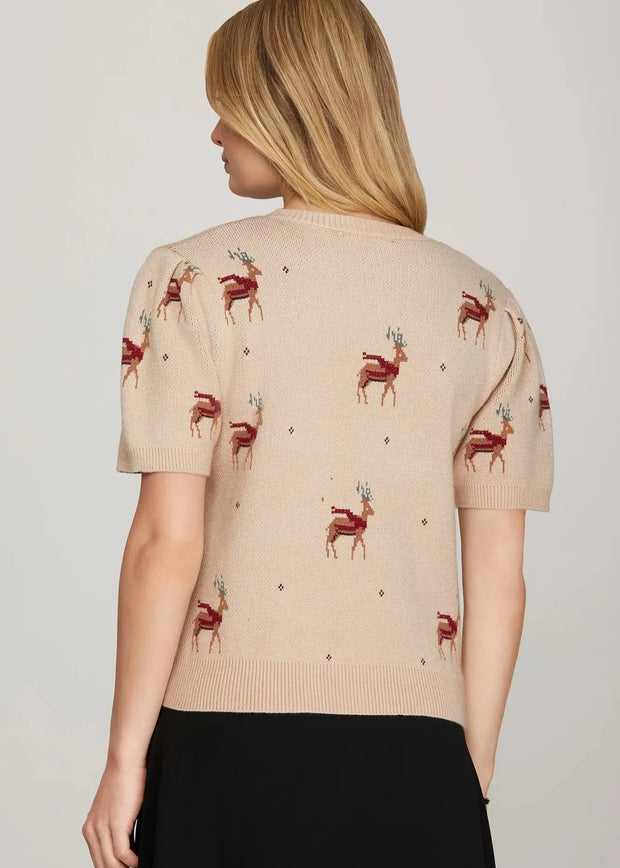 Reindeer Sweater