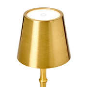 Cordless Gold Bamboo Lamp