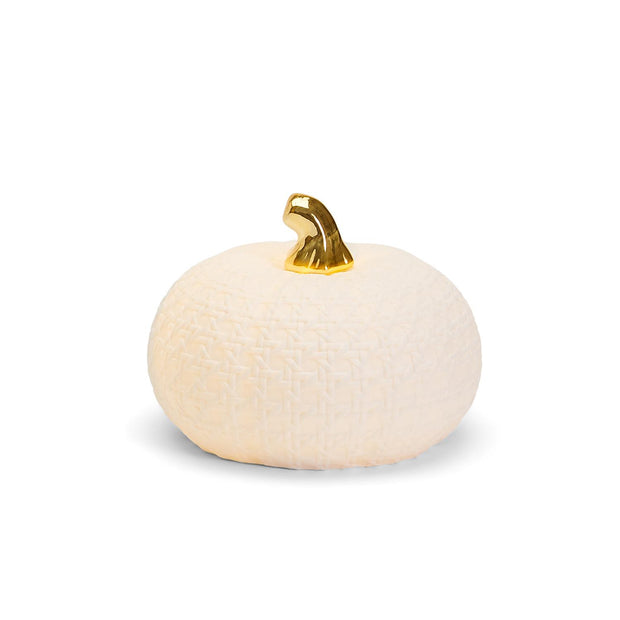 Cane Weave Light Up Pumpkin