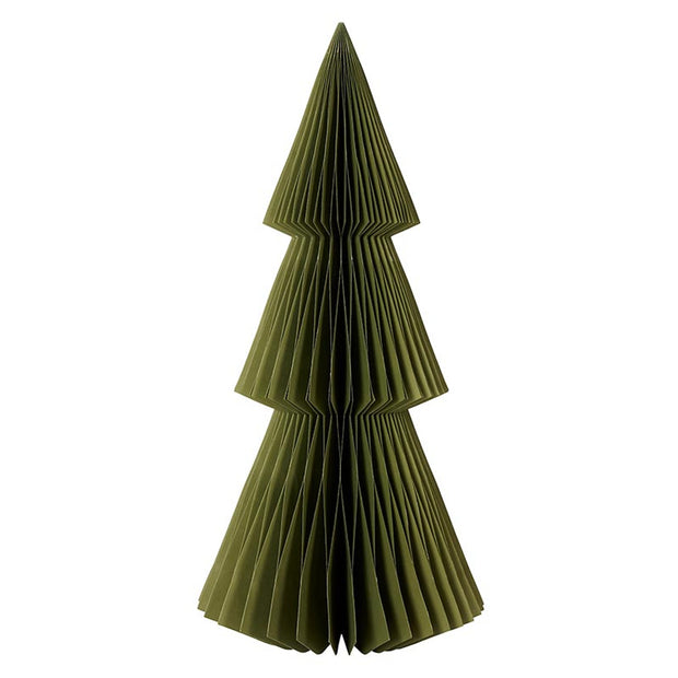 Paper Tree - Balsam Fir Green
